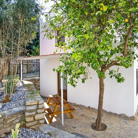 Central And Comfortable With Shared Pool Near Beach In 公寓 博德鲁姆