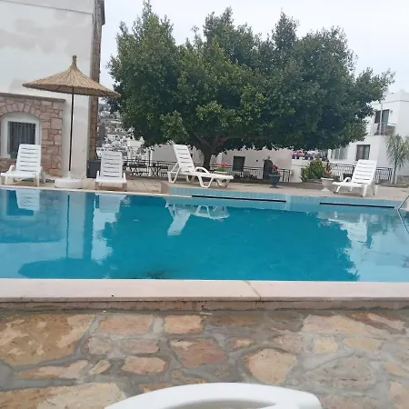 Central And Comfortable With Shared Pool Near Beach In * 博德鲁姆