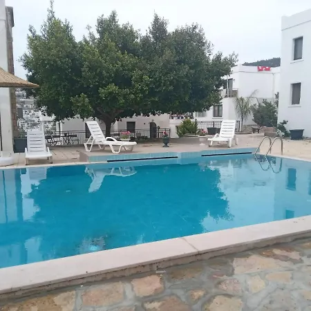 公寓 Central And Comfortable With Shared Pool Near Beach In 博德鲁姆